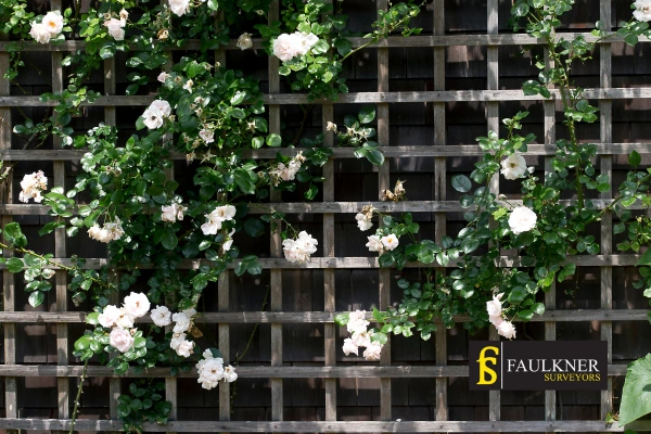 Can I put trellis on my Neighbours garage wall? 2 Do you want to adapt your neighbours garage door and add a trellis Thame? Talk to Faulkner Surveyor Thame